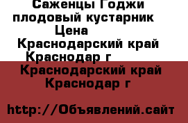 Саженцы Годжи (плодовый кустарник) › Цена ­ 100 - Краснодарский край, Краснодар г.  »    . Краснодарский край,Краснодар г.